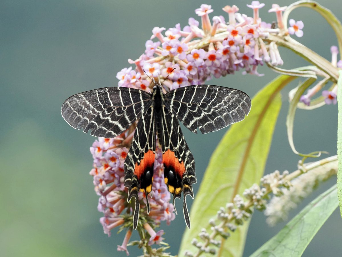 Gosainkunda landscape